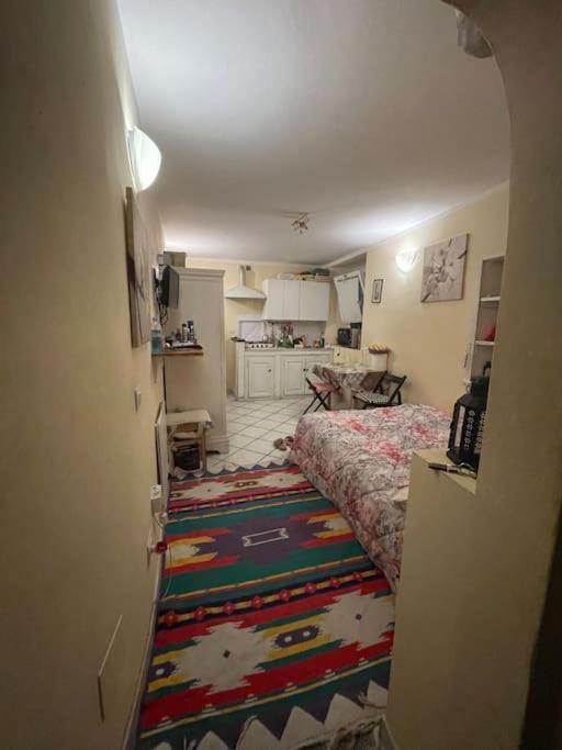 Apartamento Monolocale Carino Florencia Exterior foto